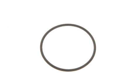 Фото 2 - Паливний фільтр WUNDER FILTER WB 117 (WB117)